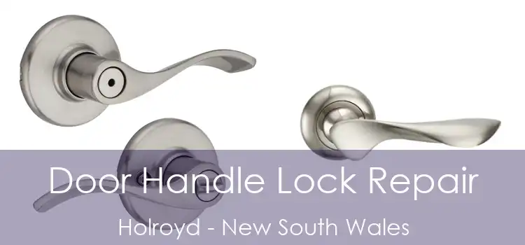 Door Handle Lock Repair Holroyd - New South Wales