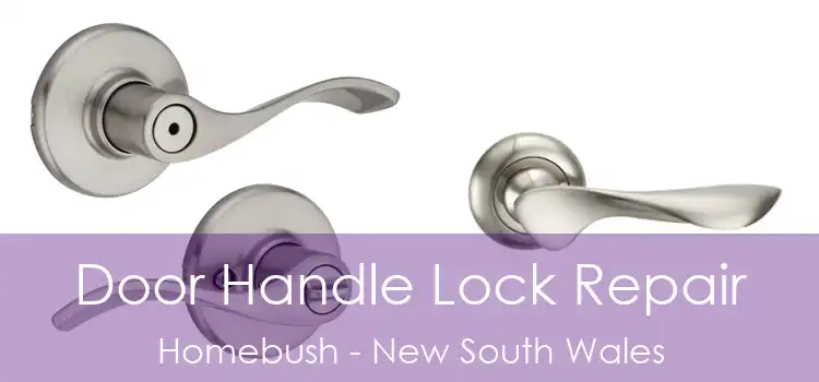 Door Handle Lock Repair Homebush - New South Wales