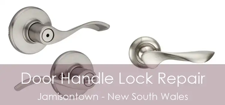 Door Handle Lock Repair Jamisontown - New South Wales