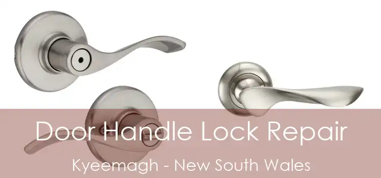 Door Handle Lock Repair Kyeemagh - New South Wales