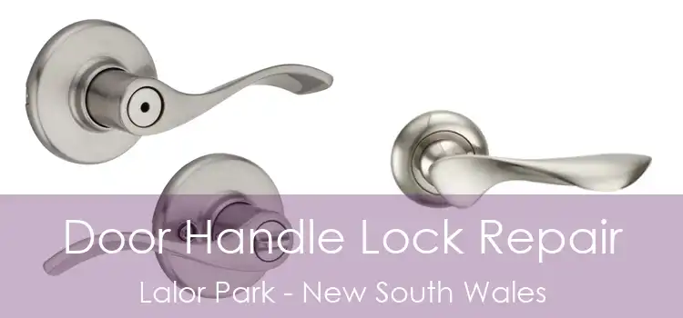 Door Handle Lock Repair Lalor Park - New South Wales