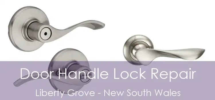 Door Handle Lock Repair Liberty Grove - New South Wales