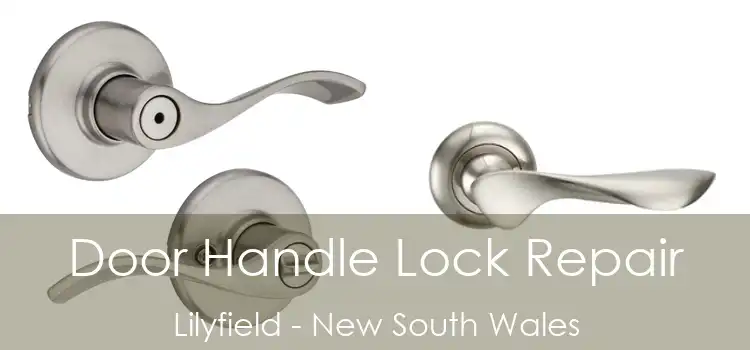 Door Handle Lock Repair Lilyfield - New South Wales