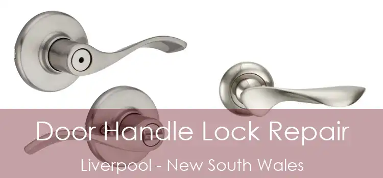 Door Handle Lock Repair Liverpool - New South Wales