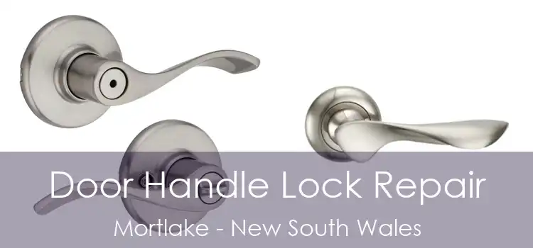Door Handle Lock Repair Mortlake - New South Wales