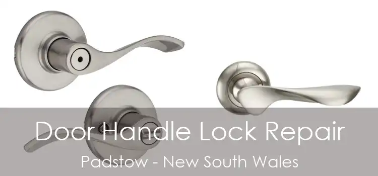 Door Handle Lock Repair Padstow - New South Wales