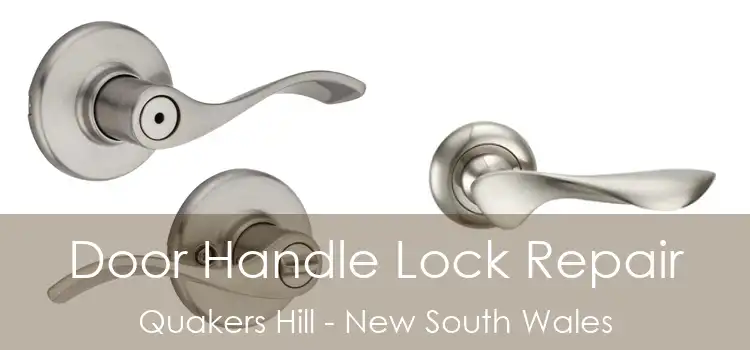 Door Handle Lock Repair Quakers Hill - New South Wales