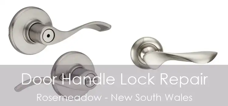 Door Handle Lock Repair Rosemeadow - New South Wales