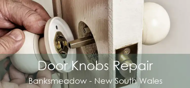 Door Knobs Repair Banksmeadow - New South Wales