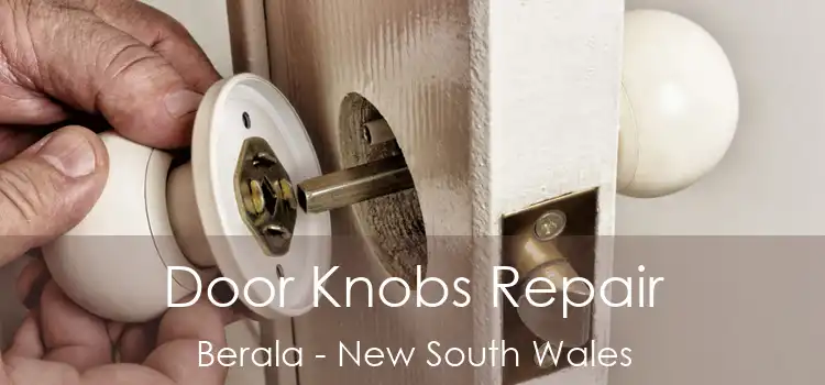 Door Knobs Repair Berala - New South Wales