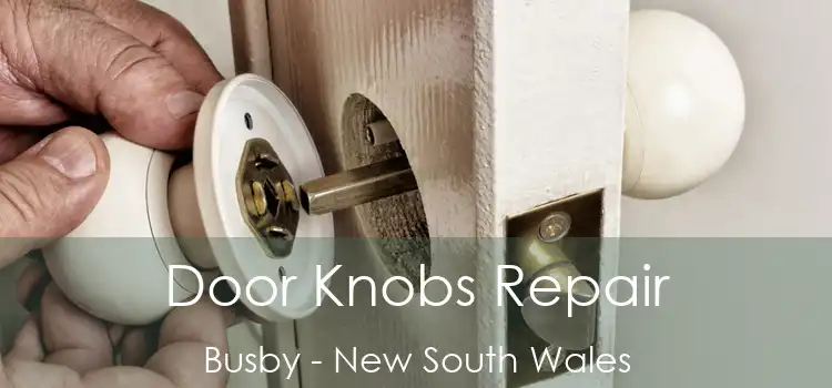 Door Knobs Repair Busby - New South Wales