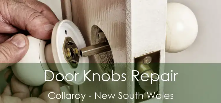 Door Knobs Repair Collaroy - New South Wales