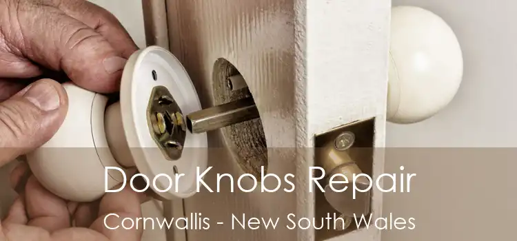Door Knobs Repair Cornwallis - New South Wales