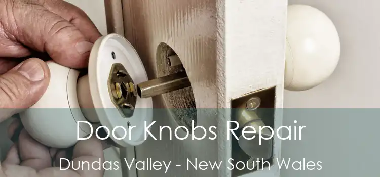 Door Knobs Repair Dundas Valley - New South Wales