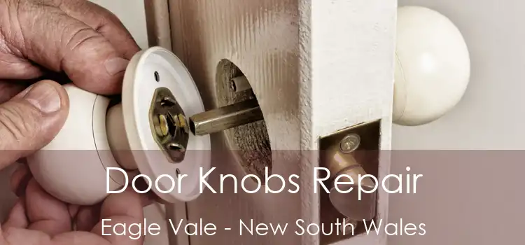 Door Knobs Repair Eagle Vale - New South Wales