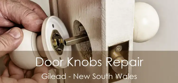 Door Knobs Repair Gilead - New South Wales
