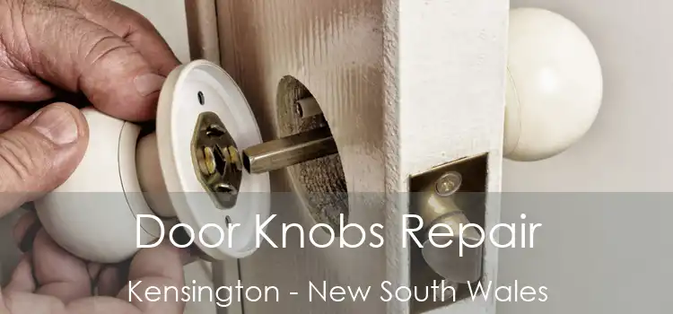 Door Knobs Repair Kensington - New South Wales