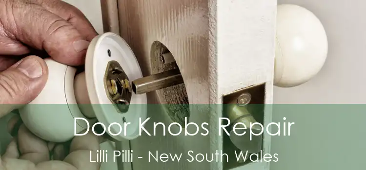 Door Knobs Repair Lilli Pilli - New South Wales