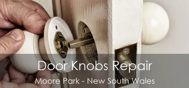 Door Knobs Repair Moore Park - New South Wales