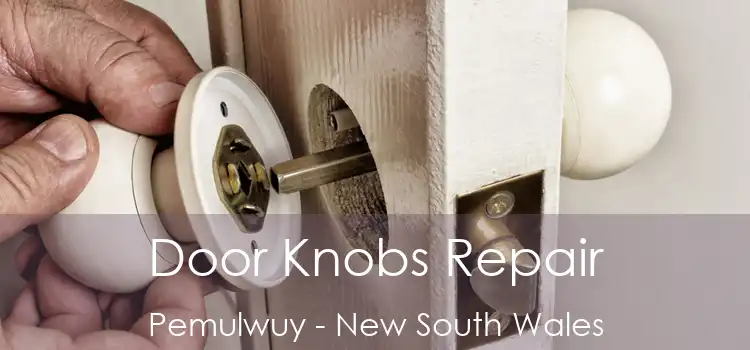 Door Knobs Repair Pemulwuy - New South Wales