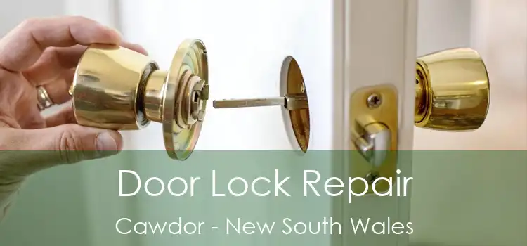 Door Lock Repair Cawdor - New South Wales