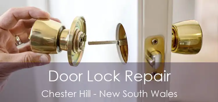 Door Lock Repair Chester Hill - New South Wales