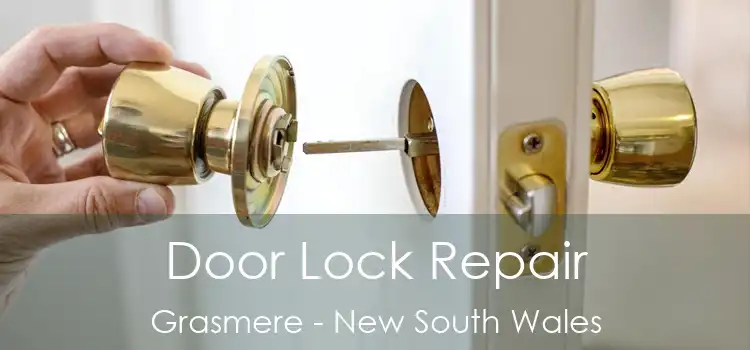 Door Lock Repair Grasmere - New South Wales