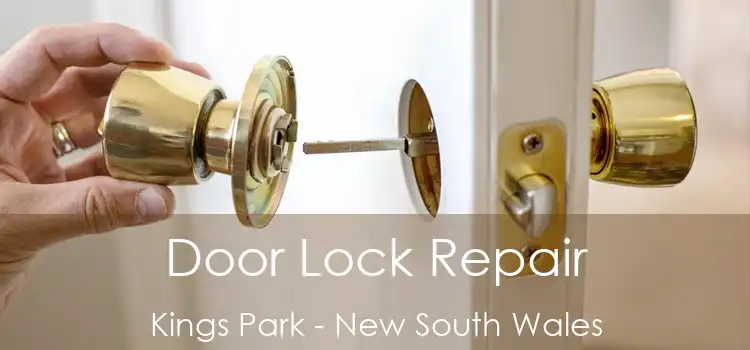 Door Lock Repair Kings Park - New South Wales