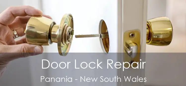 Door Lock Repair Panania - New South Wales