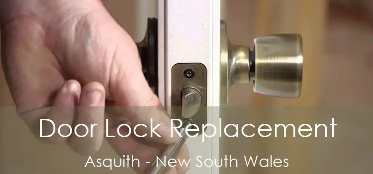 Door Lock Replacement Asquith - New South Wales