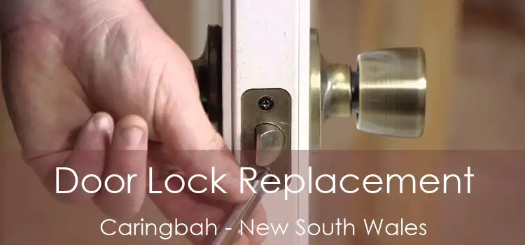 Door Lock Replacement Caringbah - New South Wales