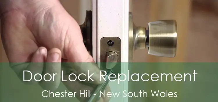 Door Lock Replacement Chester Hill - New South Wales