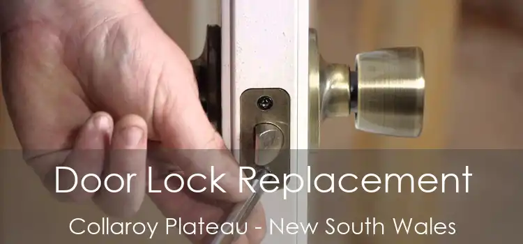 Door Lock Replacement Collaroy Plateau - New South Wales