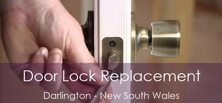 Door Lock Replacement Darlington - New South Wales