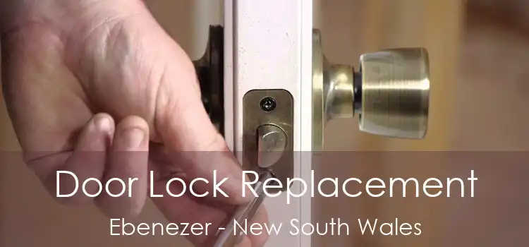 Door Lock Replacement Ebenezer - New South Wales