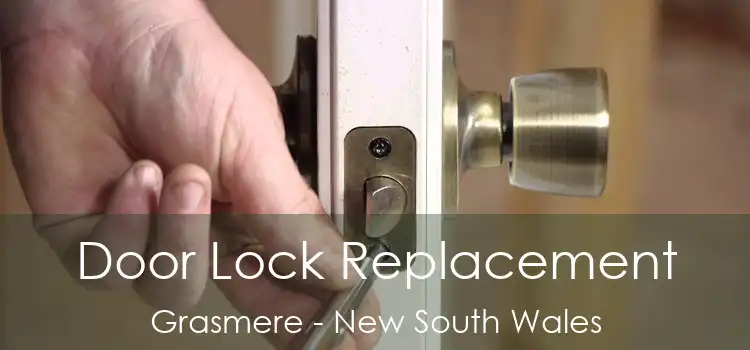 Door Lock Replacement Grasmere - New South Wales