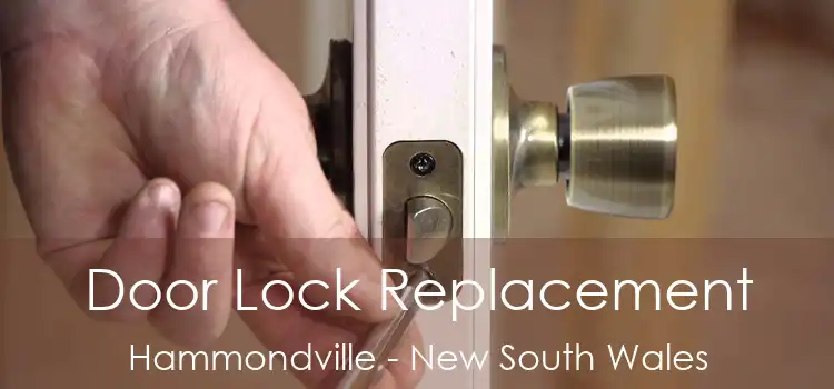 Door Lock Replacement Hammondville - New South Wales