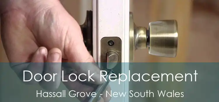 Door Lock Replacement Hassall Grove - New South Wales