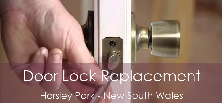 Door Lock Replacement Horsley Park - New South Wales