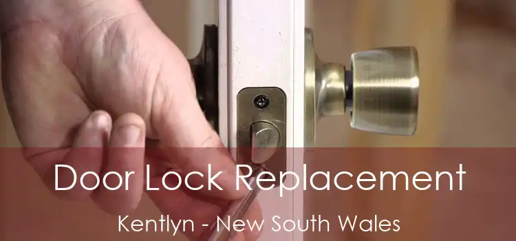 Door Lock Replacement Kentlyn - New South Wales
