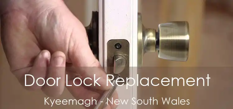 Door Lock Replacement Kyeemagh - New South Wales