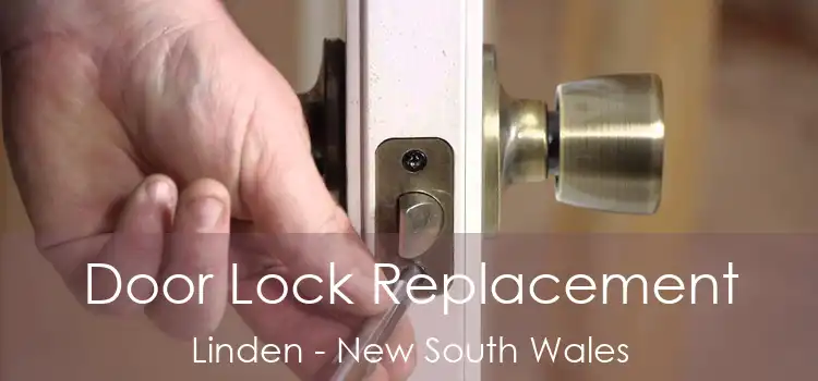 Door Lock Replacement Linden - New South Wales