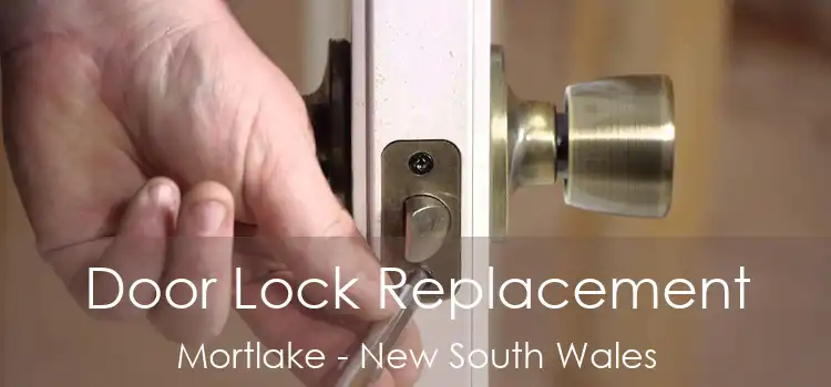 Door Lock Replacement Mortlake - New South Wales