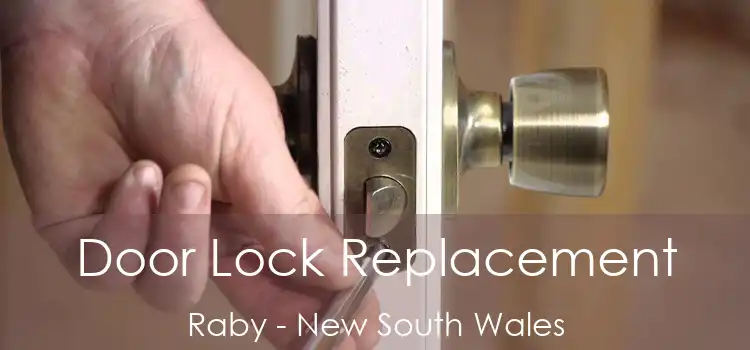 Door Lock Replacement Raby - New South Wales