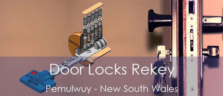 Door Locks Rekey Pemulwuy - New South Wales