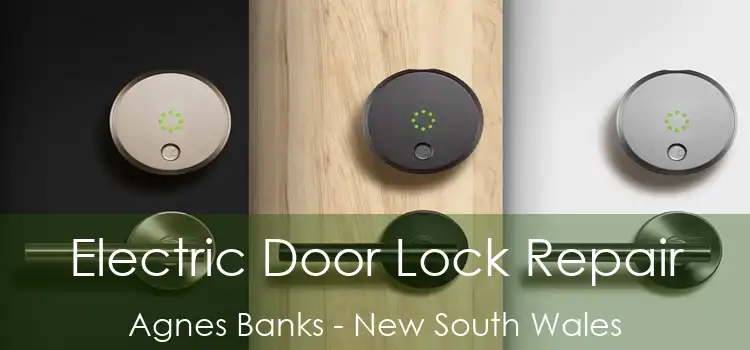 Electric Door Lock Repair Agnes Banks - New South Wales