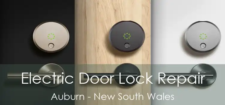 Electric Door Lock Repair Auburn - New South Wales