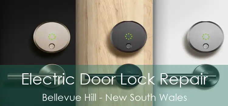 Electric Door Lock Repair Bellevue Hill - New South Wales