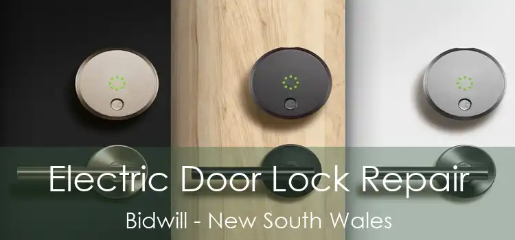 Electric Door Lock Repair Bidwill - New South Wales