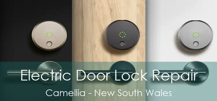 Electric Door Lock Repair Camellia - New South Wales